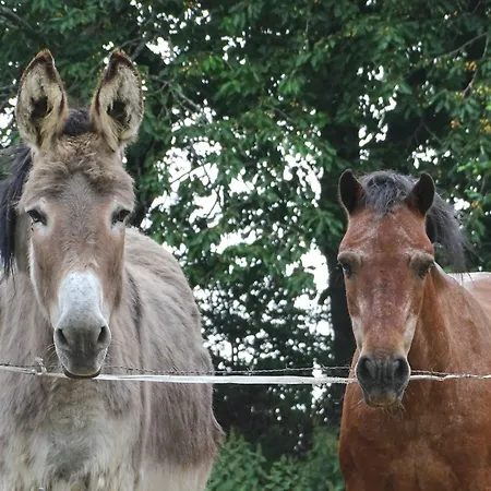 Dom wakacyjny Des Sabots Saint-Patrice-du-Desert